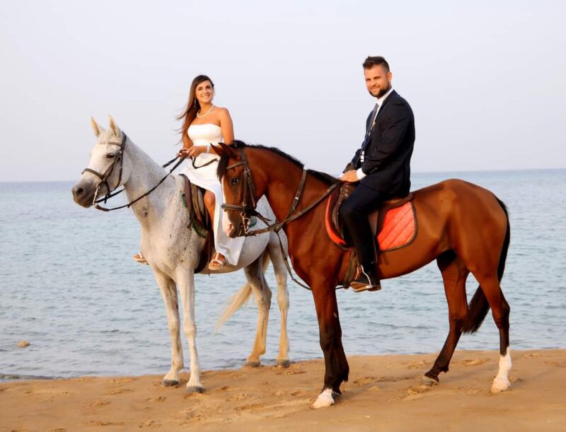 Horse riding in Hurghada (2 hours)