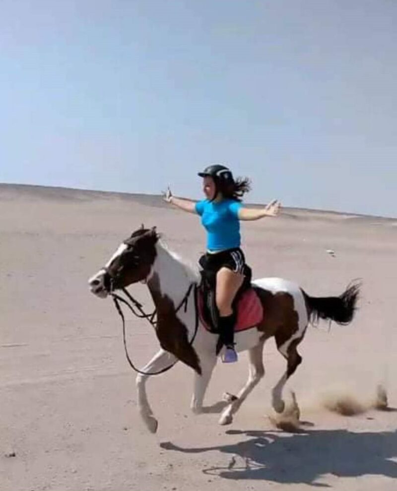 Horse riding in Hurghada (1 hour)